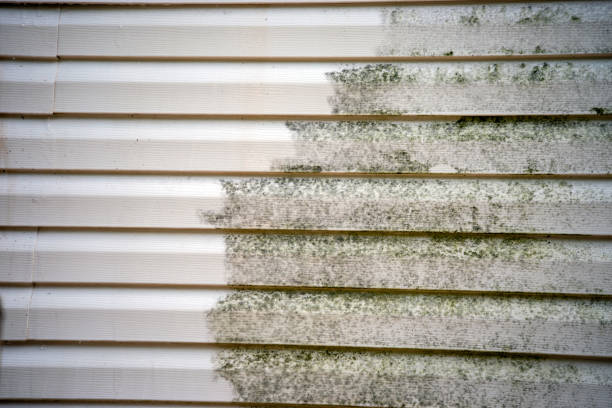 Best Shed Removal  in Greenville, MI